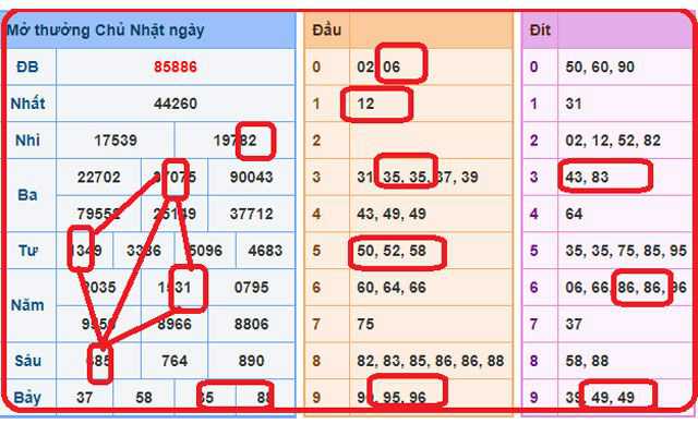 Cách xem bảng thống kê cụ thể